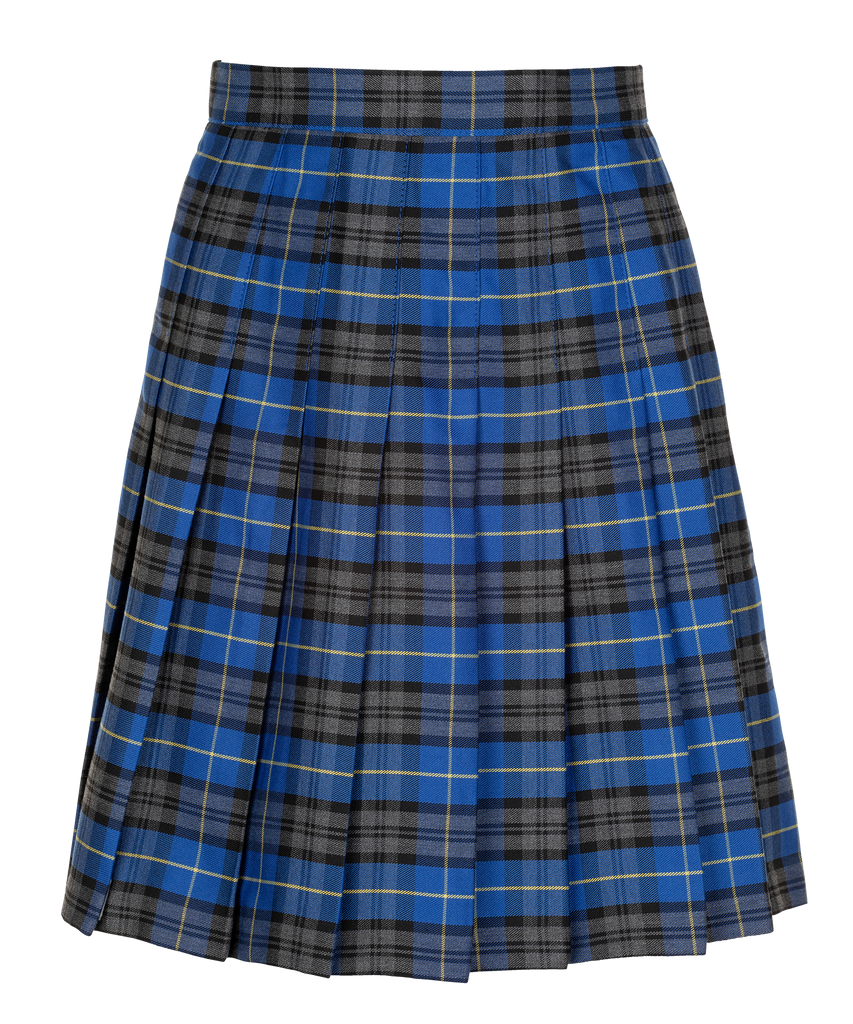 Royal blue hotsell tartan skirt